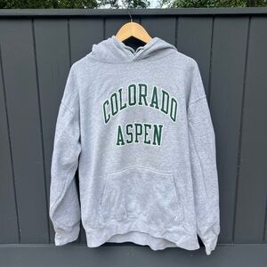 Brandy Melville Gray Colorado Aspen Hoodie